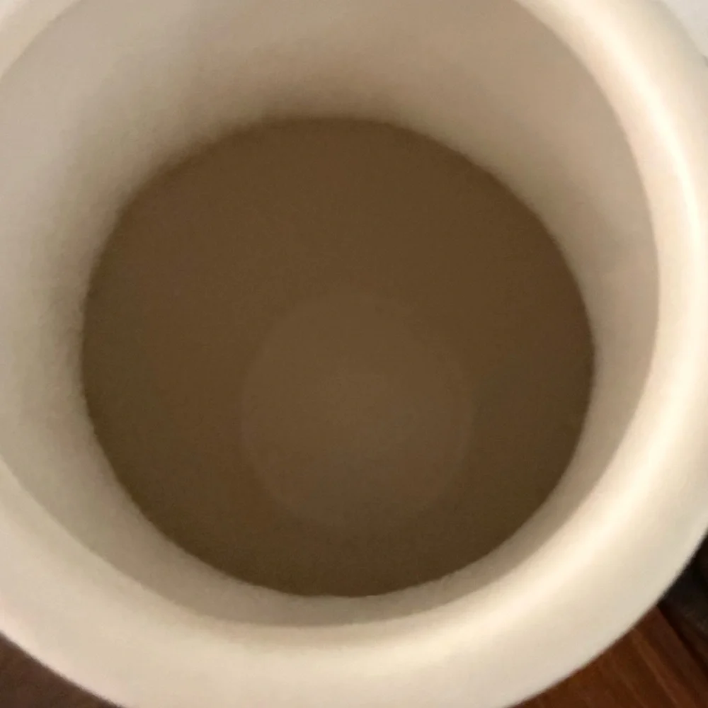 ANTHROPOLOGIE Handpainted Stoneware Large Floral/Flower Vase
